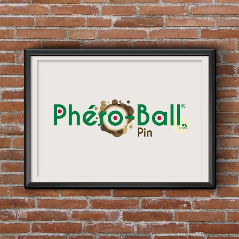 Logo PHERO-BALL