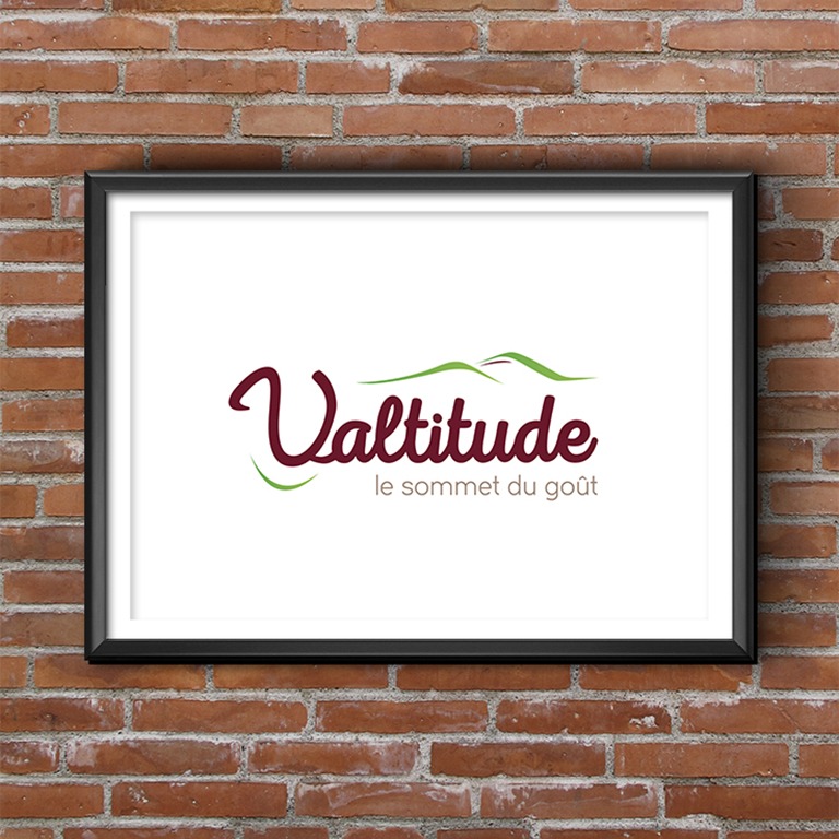 Logo VALTITUDE